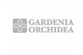 Gardenia orchidea