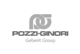 Pozzi ginori